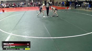 95 lbs Cons. Round 1 - Samuel Strack, Little Falls vs Brett Jensen, Springfield