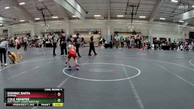 60 lbs Cons. Round 5 - Dominic Raffa, Rampage vs Cole Menefee, Kent County Junior Wrestling