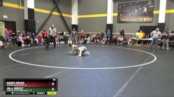 58 lbs Round 3 (4 Team) - Gwen Gross, Badger Girls Elite vs Mila Sebolt, Female Elite Wrestling