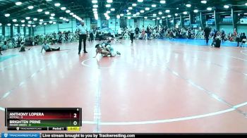 80 lbs Rd# 5- 3:45pm Friday Final Pool - Anthony Lopera, M2TCNJ vs Brighten Prine, Minion Green