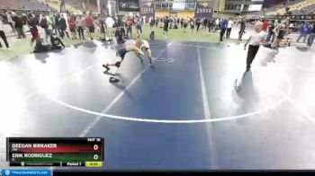 132 lbs Cons. Round 4 - Deegan Birkaker, MN vs Erik Rodriguez, IL