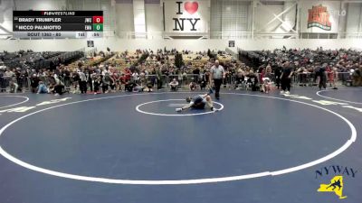 80 lbs Cons. Round 2 - Brady Trumpler, Journeymen Wrestling Club vs Nicco Palmiotto, Empire Wrestling Academy