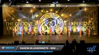 Dancin Bluebonnets - Mini Jazz [2019 Mini - Jazz - Small Day 1] 2019 Encore Championships Houston D1 D2