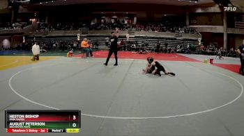 72 lbs Cons. Round 3 - Heston Bishop, Park Rapids vs August Peterson, Rochester Mayo