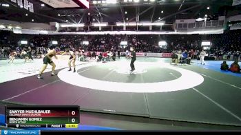 190 lbs Cons. Semi - Sawyer Muehlbauer, Columbia (White Salmon) vs Benjamin Gomez, North Kitsap