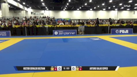 Arturo Salas Espies vs Hector Osvaldo Beltran 2025 World IBJJF Jiu-Jitsu No-Gi Championship