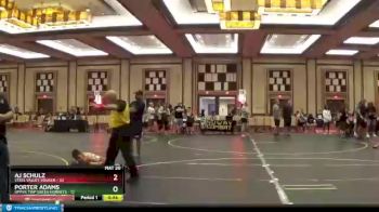 92 lbs Finals (8 Team) - AJ Schulz, Steel Valley Vouger vs Porter Adams, Upper Twp Green Hornets