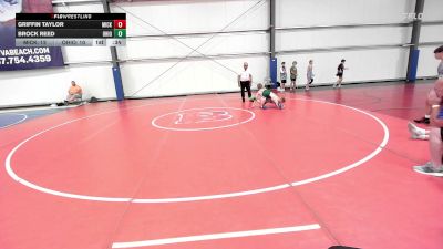 95 lbs Rr Rnd 3 - Griffin Taylor, Micky's Maniacs Grey vs Brock Reed, Ohio Valley Forge