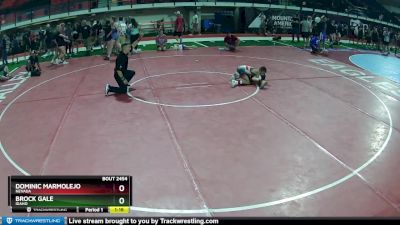 80 lbs 2nd Place Match - Dominic Marmolejo, Nevada vs Brock Gale, Idaho