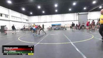 108 lbs Finals (8 Team) - Trevelian James, NC Pride Elite vs Ricky Springs, Palmetto State Academy Gold
