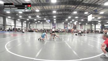 145 lbs Rr Rnd 1 - Logan Powell, 4M Strength vs Dominic Ferraro, Micky's Maniacs Blue