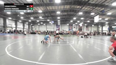 145 lbs Rr Rnd 1 - Logan Powell, 4M Strength vs Dominic Ferraro, Micky's Maniacs Blue