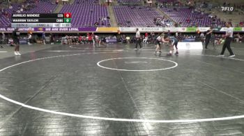 133 lbs Semis (4 Team) - Aurelio Mendez, Cornerstone vs Warren Taylor, Central Methodist