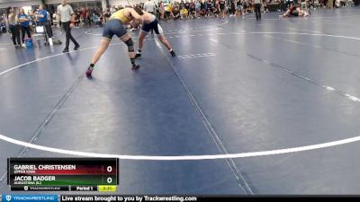 Elite 197 lbs Champ. Round 1 - Jacob Badger, Augustana (IL) vs Gabriel Christensen, Upper Iowa