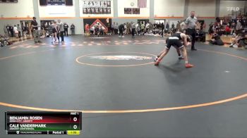 113 lbs Semifinal - Benjamin Rosen, Iowa City, Liberty vs Cale Vandermark, Ankeny Centennial