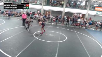 159-167 lbs Champ. Round 1 - Josiah Williams, Danville vs Anthony Delgado, Strong And Courageous