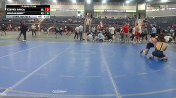 133 lbs Cons. Round 5 - Ezekiel Gasca, Williams Baptist vs Bregan Berry, Reinhardt University (GA)