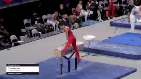 Dave Wolma - Pommel Horse, Cypress Academy - 2021 US Championships