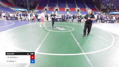 138 lbs Cons 8 #2 - Austin Gyorkos, MI vs Kaleb Mead, MN