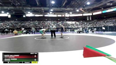132 lbs Champ. Round 1 - Nate Galloway, Rocky Mountain vs Isaiah Marsh, Potlatch