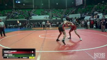 7A 175 lbs Quarterfinal - Trip Cole, Hewitt-Trussville vs Wyatt Massey, Thompson HS