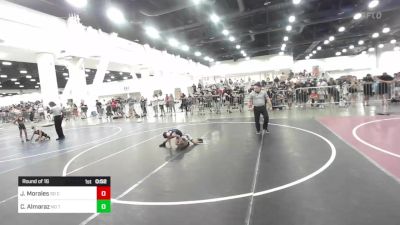 49 lbs Round Of 16 - Jesse Morales, So Cal Hammers vs Camilo Almaraz, No Team