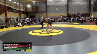 140 lbs Quarterfinal - Rejan Al-Hashash, Avon Lake vs Violette Lasure, Chestnut Ridge