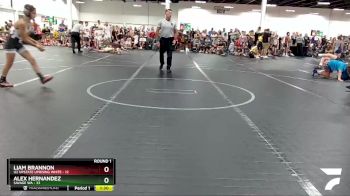 88 lbs Round 1 (8 Team) - Alex Hernandez, Savage WA vs Liam Brannon, U2 Upstate Uprising White