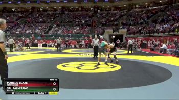 D1-120 lbs Quarterfinal - Sal Palmisano, Mayfield vs Marcus Blaze, Perrysburg