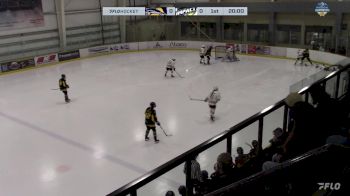 Replay: Home - 2025 STA Sharks vs Impact | Mar 15 @ 5 PM