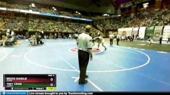 157 Class 4 lbs Semifinal - Brock Sundlie, Ozark vs Trey Craig, Liberty