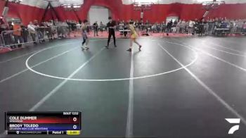 138 lbs Cons. Round 3 - Cole Dummer, Wisconsin vs Brody Toledo, Atchison Kids Club Wrestling