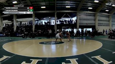 197 lbs Quarterfinal - Quinn Gorman, Lake Erie vs Lucas Salmon, Tiffin
