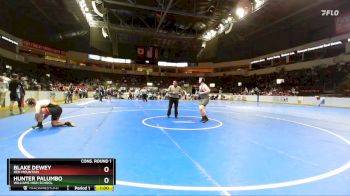 215 lbs Cons. Round 1 - Hunter Palumbo, Williams High School vs Blake Dewey, Red Mountain