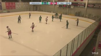 Replay: Home - 2024 Whalers vs Rush | Feb 5 @ 7 AM