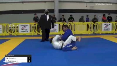 Diego Pelosi vs Isaac Rodriquez 2020 American National IBJJF Jiu-Jitsu Championship