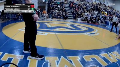 285 lbs Consy 2 - Zack Stromock, Peters Township vs Michael Gibson, Bethel Park