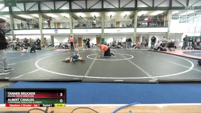 77-81 lbs Cons. Round 1 - Albert Canales, Contenders Wrestling Academy vs Tanner Brucker, Falcon Youth Wrestling