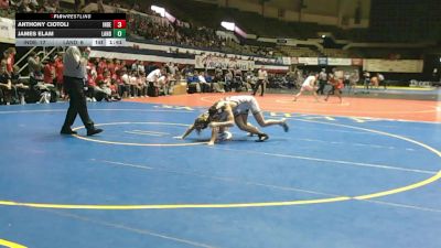 138 lbs Placement (16 Team) - James Elam, Landstown vs Anthony Ciotoli, Independence