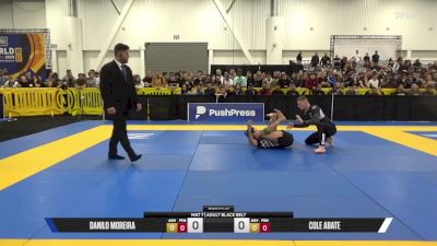 Cole Abate vs Danilo Moreira 2025 World IBJJF Jiu-Jitsu No-Gi Championship