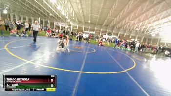 106 lbs Champ. Round 2 - Thiago Reynosa, Mountain Ridge vs TJ Tebbs, Panguitch