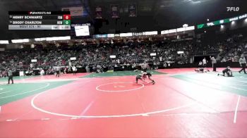 95 lbs Champ. Round 1 - Henry Schwartz, FDMA vs Brody Charlton, WSW1