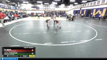 133 lbs Champ. Round 2 - Ty Bisek, Concordia-Moorhead vs Tate Stockman, Carthage College