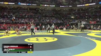 D2-215 lbs Champ. Round 1 - Davian Greenlee, Buchtel vs Cruz Mobley, River View