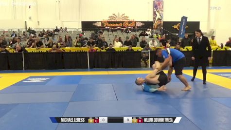 William Giovanny Pineda vs Michael Lebess 2024 World IBJJF Jiu-Jitsu No-Gi Championship