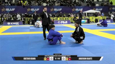 Anderson Duarte vs Gustavo Ogawa 2026 European Jiu-Jitsu IBJJF Championship