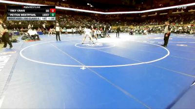 190 Class 4 lbs Semifinal - Trey Craig, Christian Brothers College vs Peyton Westpfahl, Liberty