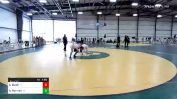 138 lbs Quarterfinal - Colin Dupill, VA vs Andrew Harmon, PA