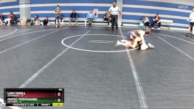 88 lbs Finals (2 Team) - Liam Oneill, VA Patriots vs Mateo Montanaro, Doughboy