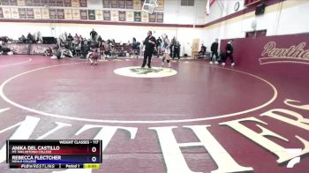 117 lbs Semifinal - Rebecca Flectcher, Menlo College vs Anika Del Castillo, Mt. San Antonio College